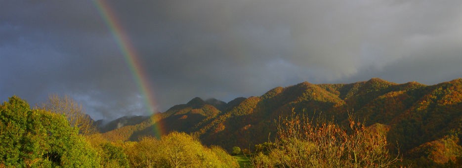 GAUDEIX DE LA NATURA
